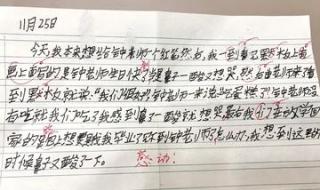 鼻子一酸的作文200字