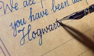 我被霍格沃茨录取了