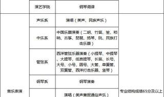 武汉音乐学院分数线