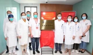 上海治疗脱发多少钱